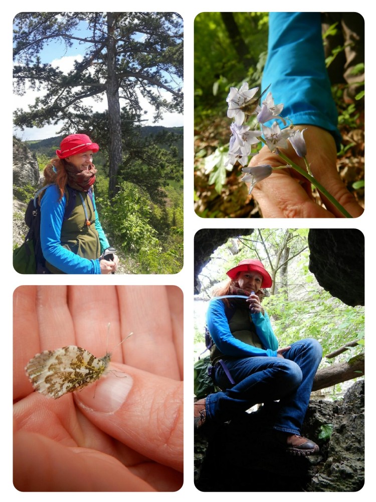 Wandern in Magdeburg
Wandern Magdeburg
Geführte Wanderungen Magdeburg
Geführtes Wandern Magdeburg
Wandern im Harz
Wandern Harz
Geführte Wanderungen Harz
Geführtes Wandern Harz
Wandern im Salzlandkreis
Wandern Salzlandkreis
Geführte Wanderungen Salzlandkreis
Geführtes Wandern Salzlandkreis
Wandern im Jerichower Land
Wandern in Sachsen-Anhalt
Wandern in der Magdeburger Börde
Dr. Kathrin Marter
Wanderführerin
Gesundheitswanderführerin
Naturführerin
Landschaftsführerin
geführte Wanderungen
Waldbaden
Waldbaden in Magdeburg
Waldbaden Magdeburg