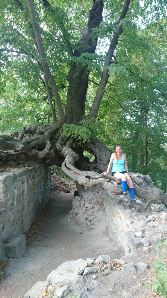 Wandern in Magdeburg
Wandern Magdeburg
Geführte Wanderungen Magdeburg
Geführtes Wandern Magdeburg
Wandern im Harz
Wandern Harz
Geführte Wanderungen Harz
Geführtes Wandern Harz
Wandern im Salzlandkreis
Wandern Salzlandkreis
Geführte Wanderungen Salzlandkreis
Geführtes Wandern Salzlandkreis
Wandern im Jerichower Land
Wandern in Sachsen-Anhalt
Wandern in der Magdeburger Börde
Dr. Kathrin Marter
Wanderführerin
Gesundheitswanderführerin
Naturführerin
Landschaftsführerin
geführte Wanderungen
Waldbaden
Waldbaden in Magdeburg
Waldbaden Magdeburg