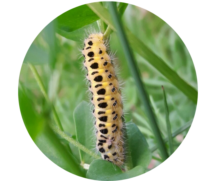 Ganzheitlich Gesund Erfolgreich, Kathrin Marter, Yoga, Magdeburg, Online, Meditation, Rauhnächte-Meditationen, Rauhnächte-Reise, Coaching, Systemtherapie, Yogatherapie, Yoga, Hatha Yoga, Kundalini-Yoga, Wandern, Gesundheitswandern, Waldbaden, Magdeburg, Yoga Online, Coaching Online, Gewaltfreie Kommunikation, Karriereentwicklung, Strategisches Netzwerken, Krisenbegleitung, Entgiftung, Entgiftungsbegleitung, Fastenbegleitung, Fasten