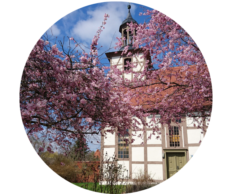 Ganzheitlich Gesund Erfolgreich, Kathrin Marter, Yoga, Magdeburg, Online, Meditation, Rauhnächte-Meditationen, Rauhnächte-Reise, Coaching, Systemtherapie, Yogatherapie, Yoga, Hatha Yoga, Kundalini-Yoga, Wandern, Gesundheitswandern, Waldbaden, Magdeburg, Yoga Online, Coaching Online, Gewaltfreie Kommunikation, Karriereentwicklung, Strategisches Netzwerken, Krisenbegleitung, Entgiftung, Entgiftungsbegleitung, Fastenbegleitung, Fasten