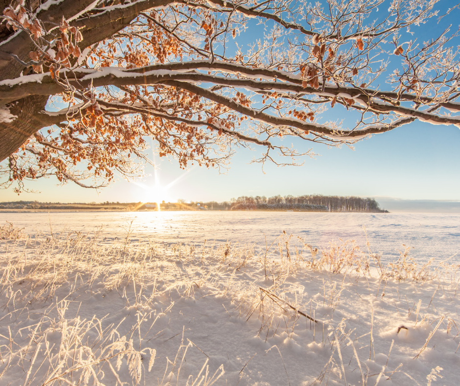 Rauhnächte und Sperrnächte – Die Kraft der Dunkelzeit&nbsp;nutzen