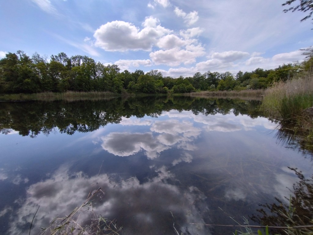 Wandern in Magdeburg
Wandern im Harz
Wandern im Salzlandkreis
Wandern im Jerichower Land
Wandern in Sachsen-Anhalt
Wandern in der Magdeburger Börde
Dr. Kathrin Marter
Wanderführerin
Gesundheitswanderführerin
Naturführerin
Landschaftsführerin
geführte Wanderungen
Waldbaden
Waldbaden in Magdeburg
Waldbaden Magdeburg