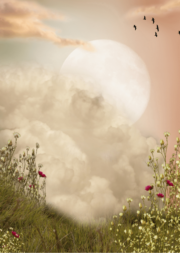 Heilkreis, Mondenergie, Neumond, Vollmond, Energiearbeit, Transformation, Bewusstsein, Heilung, Meditation, Spiritualität, Naturspiritualität, weibliche Spiritualität, Selbstheilung, Pranaheilung, Quantenheilung, Achtsamkeit, Seelenarbeit.