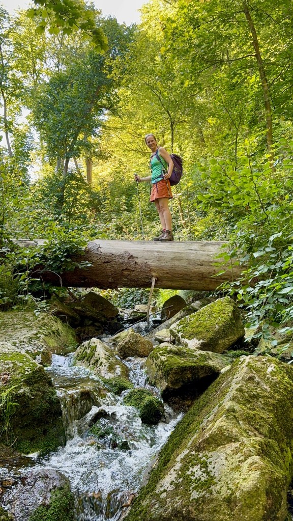 Wandern Magdeburg, Wandern Harz, geführtes Wandern Magdeburg, geführte Wanderungen Magdeburg, Waldbaden Magdeburg
