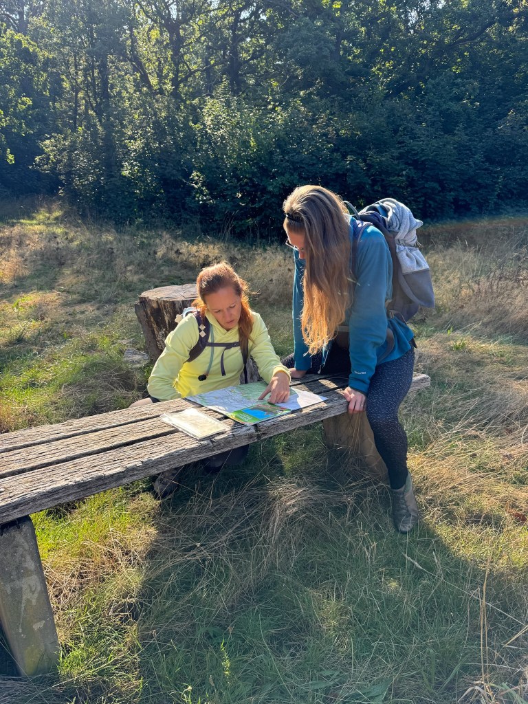 Glockenstein Harz, Walpurgisnacht / Beltane / Maifest / Jahreskreisfest
Naturspiritualität / alte Kraftorte / Frauenkraft / Göttinnenenergie
Sommersonnenwende / Jahreskreis / Naturverbundenheit