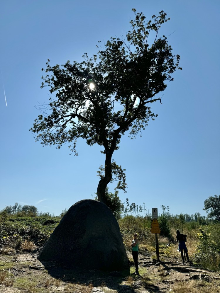 Glockenstein Harz, Walpurgisnacht / Beltane / Maifest / Jahreskreisfest Naturspiritualität / alte Kraftorte / Frauenkraft / Göttinnenenergie Sommersonnenwende / Jahreskreis / Naturverbundenheit