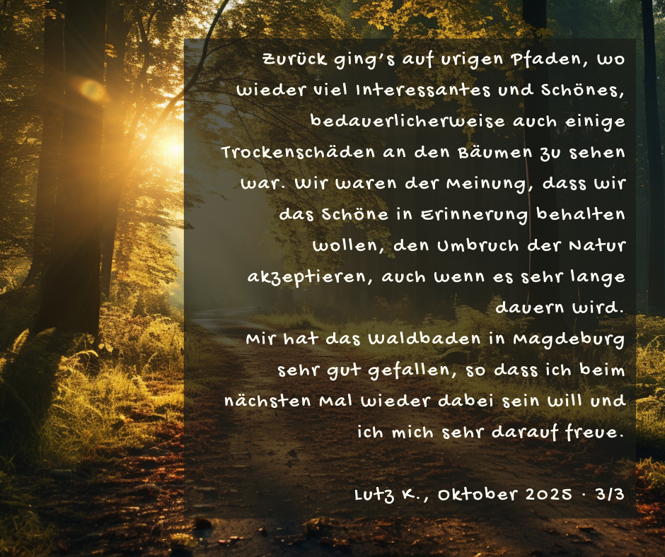 Kundenstimme von Lutz K., Oktober 2025, Teil 3 von 3: Zurück ging’s auf urigen Pfaden, wo wieder viel Interessantes und Schönes, bedauerlicherweise auch einige Trockenschäden an den Bäumen zu sehen war. Wir waren der Meinung, dass wir das Schöne in Erinnerung behalten wollen, den Umbruch der Natur akzeptieren, auch wenn es sehr lange dauern wird. Mir hat das Waldbaden in Magdeburg sehr gut gefallen, so dass ich beim nächsten Mal wieder dabei sein will und ich mich sehr darauf freue.